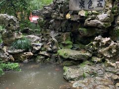-上海醉白池公园