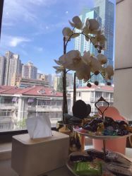 -MIVI野生眉纹绣纹眉