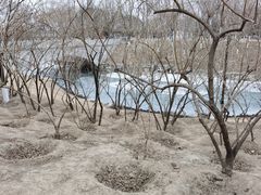 -大兴滨河森林公园