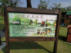 游乐设施-上海长兴岛郊野公园