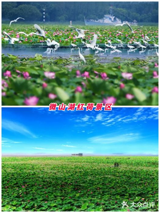 台儿庄古城图片