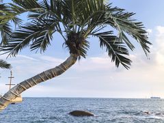 -靓湾海鲜·海景餐厅(小麦岛店)