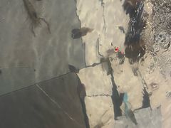 -小象钓虾·营地烧烤(洛溪店)