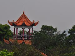 -天鹿湖森林公园