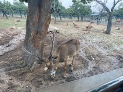 -西安秦岭野生动物园