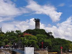 -江心屿景区
