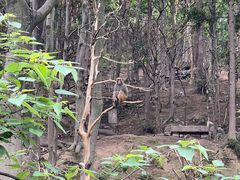 -黔灵山公园