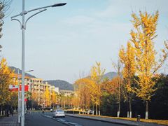 -浙江农林大学(东湖校区)
