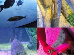 -沈阳海洋探索中心