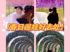-河北省园博园