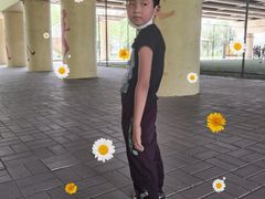 -长白岛森林公园