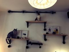 -隅cafe(傅厚岗店)
