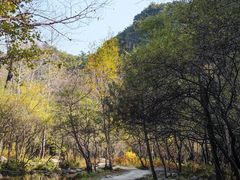 -玉渡山自然风景区