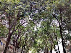 -瞻老元面馆(双塘路店)