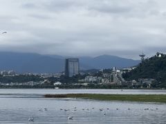 -洱海月湿地公园
