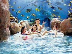 -新加坡水上探险乐园