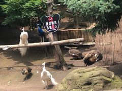 -哈尔滨北方森林动物园