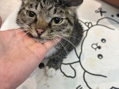 -萌宠主义宠物生活馆(金山路店)