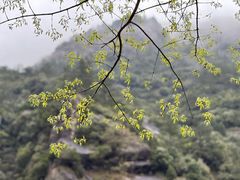 -绩溪龙川景区