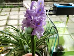 -天目溪漂流