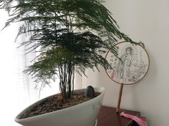 -六艺琴馆钢琴·古筝·古琴·琵琶