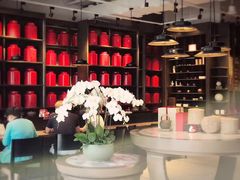 -王德传茶庄(上海新天地店)