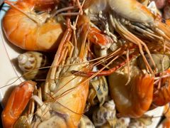 -大洋晶典(东街店)