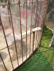 -萌宠亲子动物乐园(槐房万达店)