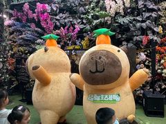 -正佳雨林生态植物园