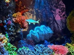 -中国湿地博物馆