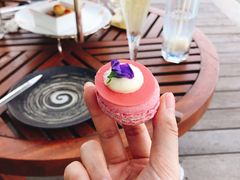 -瑰丽酒店·海吧·天际下午茶·现场DJ·天台酒吧