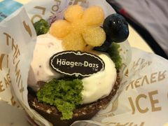 -哈根达斯(抚顺万达店)