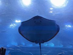 -成都浩海立方海洋公园