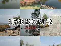 -洱海月湿地公园