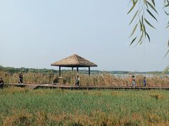 -西青郊野公园