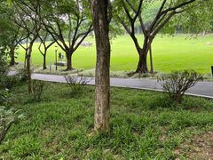 -广州雕塑公园