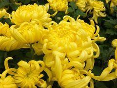 景点-沈阳中山公园