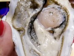 -壹号港湾