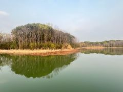 -昆山城市生态森林公园