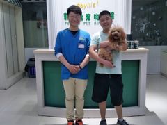 -菲丽丝宠物医院·24小时·猫科中心·免疫点(淮海分院)