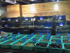水产区-浩运·海鲜青岛菜·海胆水饺(石老人店)