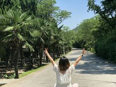-白马涧龙池景区