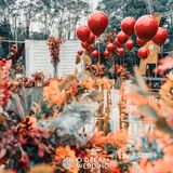 🧡堕入陷阱丨温暖橙色调