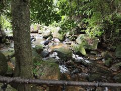 -梧桐山风景名胜区