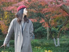 -西湖风景区-江洋畈生态公园