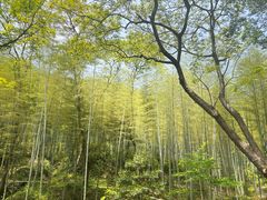 -黄公望隐居地