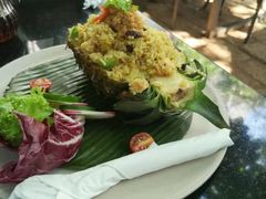 -Fern Forest Cafe