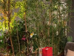 -施奈儿.洗头頭療.按摩SPA.采耳(上梅林店)