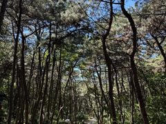 -红螺寺
