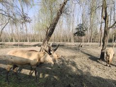 -溱湖国家湿地公园